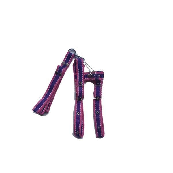 collar para perro con hebilla rosado