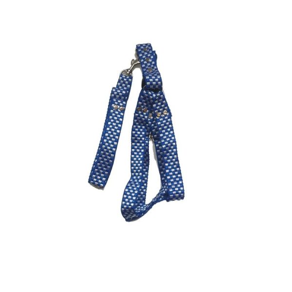 collares para perro ajedrezado