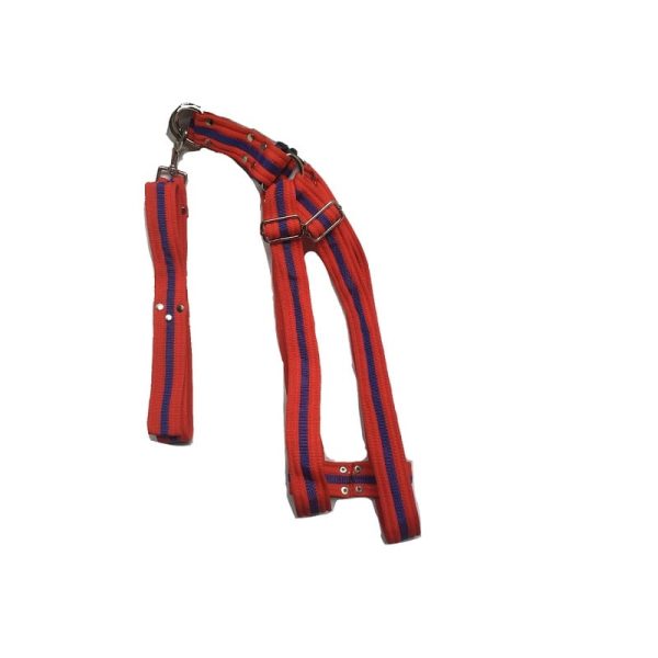 collar para perro extragrande rojo