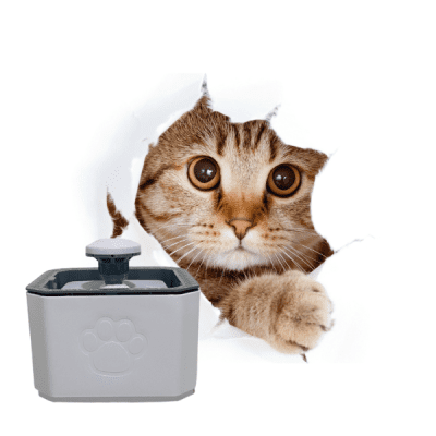 fuente para perros y gatos blanco