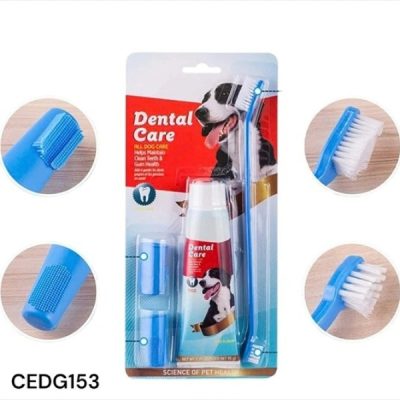 Kit dental Dental Care con pasta cepillo y dedal
