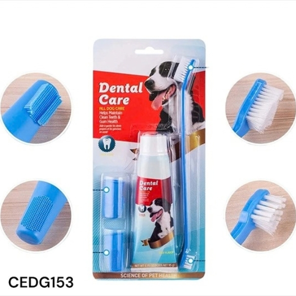 Kit dental Dental Care con pasta cepillo y dedal