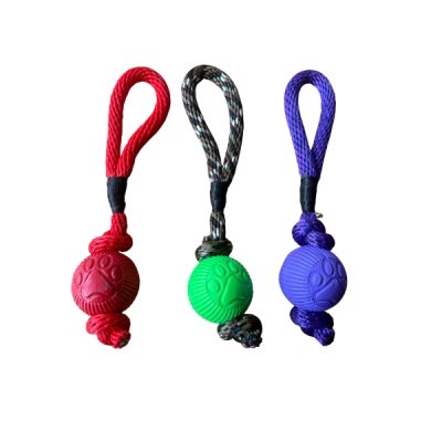 pelota para perro grande lazo